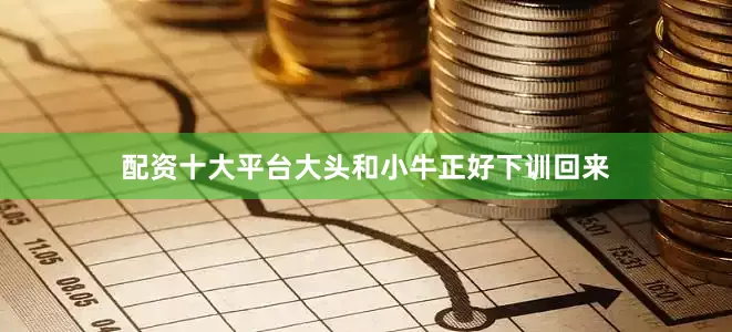 配资十大平台大头和小牛正好下训回来